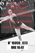 16050_C23