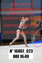 16067_C23