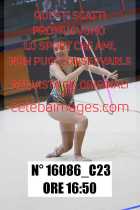 16086_C23