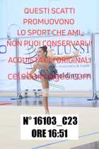 16103_C23