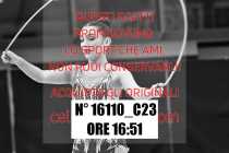 16110_C23