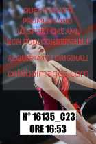 16135_C23