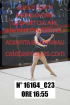 16164_C23