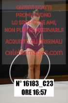 16183_C23