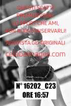 16202_C23