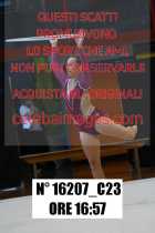16207_C23