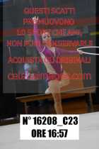 16208_C23