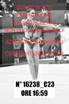 16238_C23