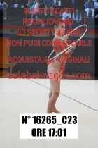 16265_C23