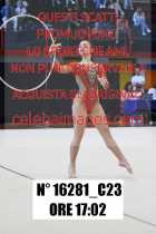 16281_C23