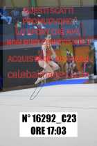 16292_C23