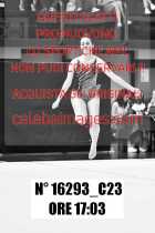 16293_C23