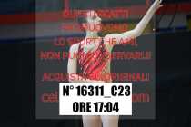 16311_C23