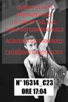 16314_C23