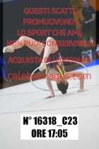 16318_C23