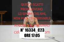 16334_C23