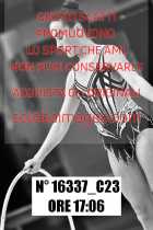 16337_C23