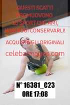 16381_C23