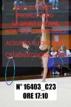 16403_C23