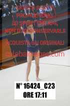 16424_C23