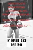 16428_C23