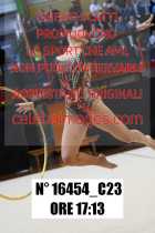 16454_C23