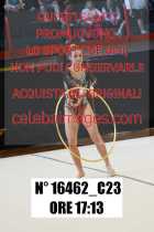 16462_C23