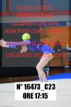16473_C23