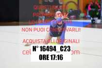 16494_C23