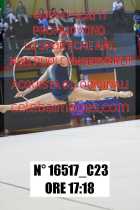 16517_C23