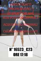 16523_C23