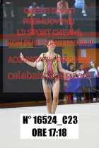 16524_C23