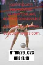 16529_C23