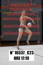 16537_C23