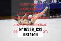 16539_C23
