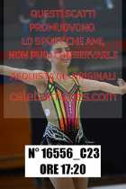 16556_C23