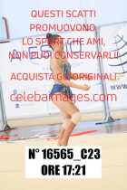 16565_C23