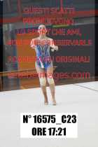 16575_C23