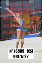 16589_C23