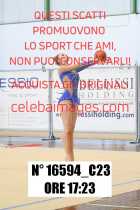 16594_C23