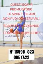16595_C23