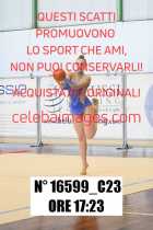 16599_C23