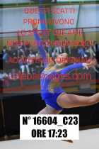 16604_C23