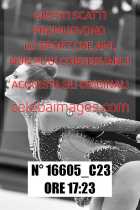 16605_C23
