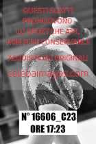 16606_C23