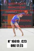 16619_C23