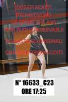 16633_C23