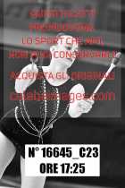 16645_C23
