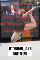 16649_C23