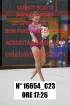 16654_C23